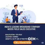 Field sales executive