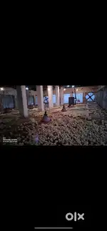 Poultry farm