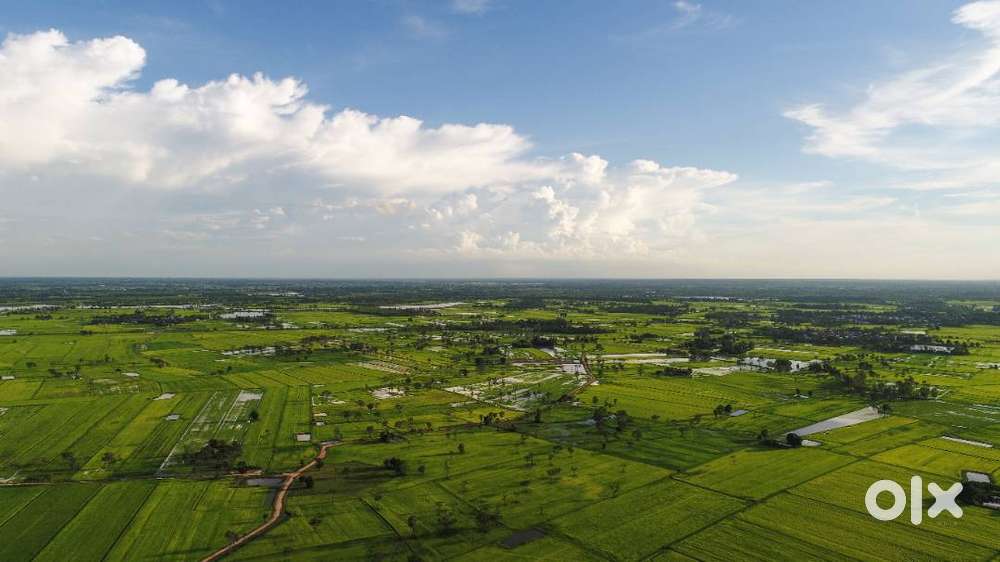 Affordable Plots in Greater Noida