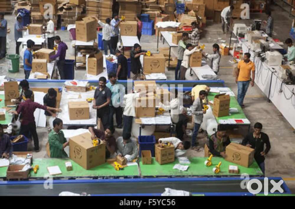 Candidates hiring for warehouse job