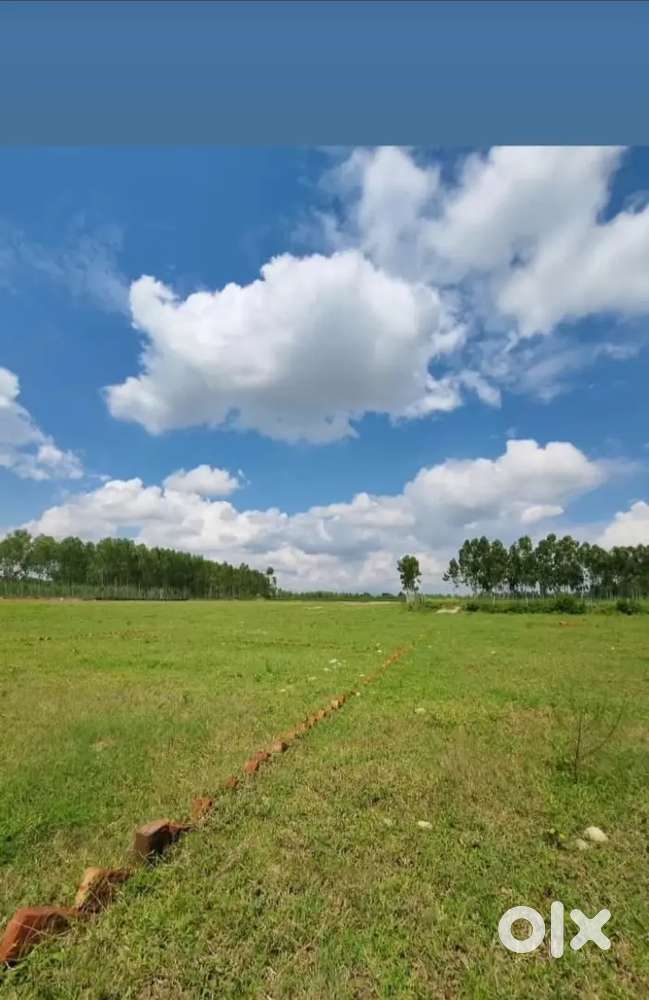 100gaj plot at just 799999