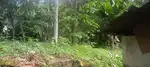 31 cent, 80 meter away from KK road , changanacherry to kumily road