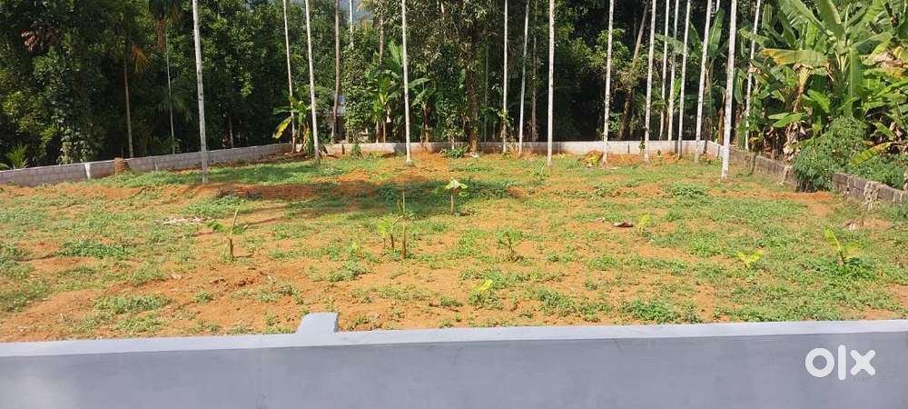 20 സെന്റ് സ്ഥലം ഉടൻ വില്പനക്കി.