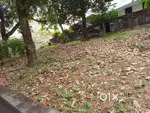 4.6 cents of land for sale