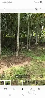 50 സെന്റ് പുരയിടം , കിണര്‍,  തെങ്ങ്,  കവുങ്ങ് , മാവ് etc
