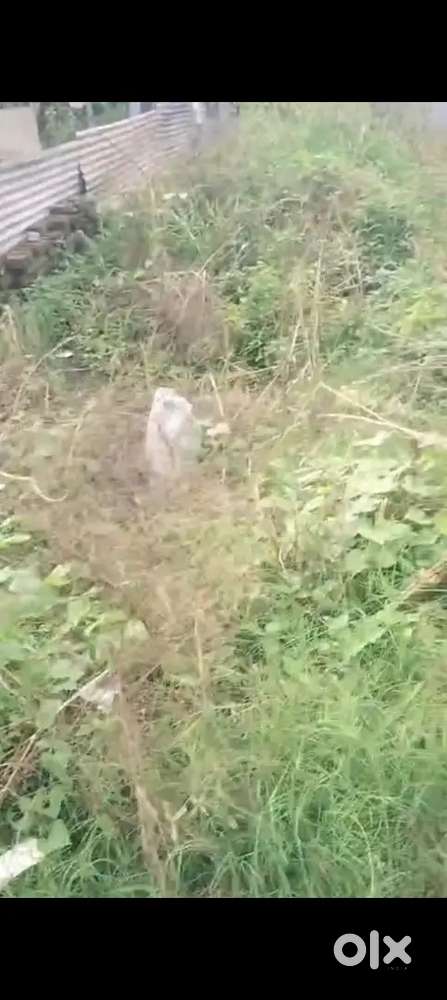 Selling plot near lal tapad for 200×20000 per gaj