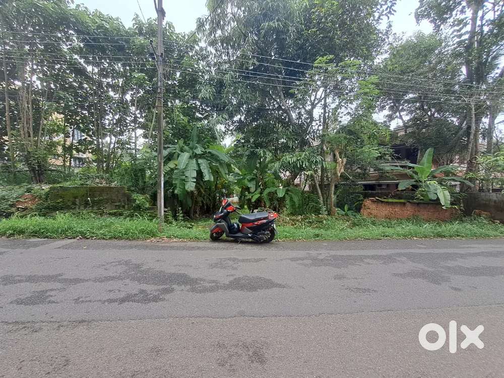 Mainroad facing 12 cents of land for sale at Konglam near Poojapura