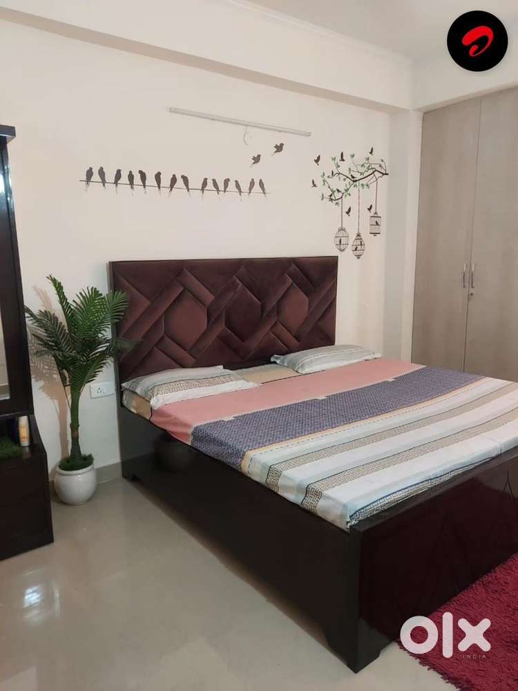 2bhk Good location builder flat available in noida extension , gated .