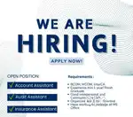 ACCOUNT ASSISTANT