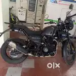 Perfect Range Himalayan