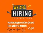 Telecalling job at palarivattom