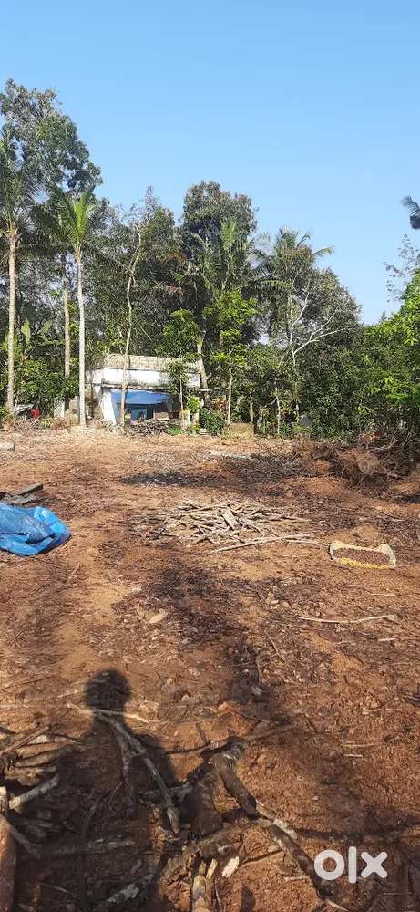 35 cent plot vettinadu, vattappaara