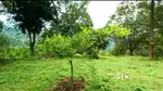 Marayoor-Kandhalloor Root 40 AC river side farm Tourism apt land sale