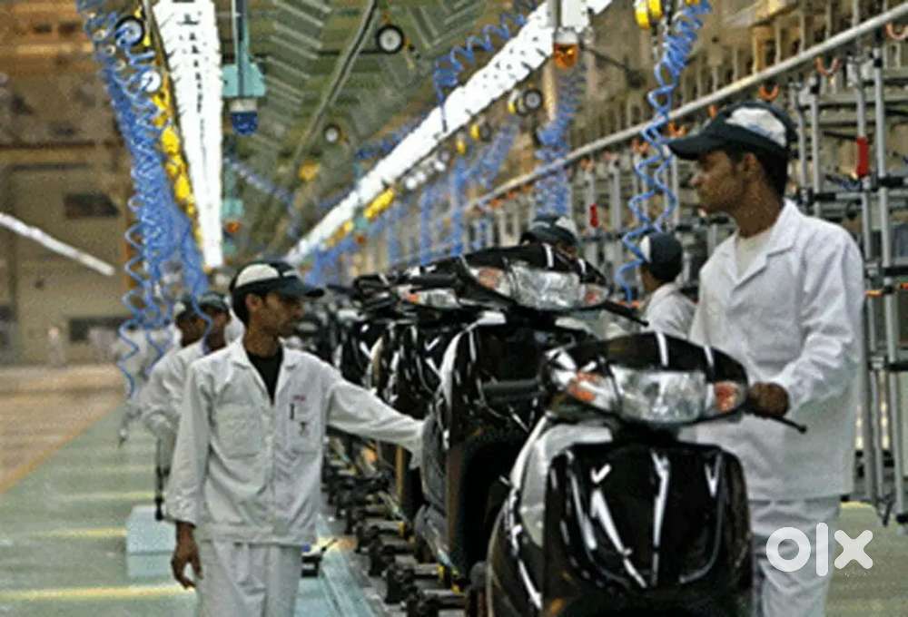 Were hiring freshers for job