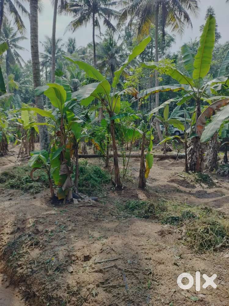 Land for immediate sale