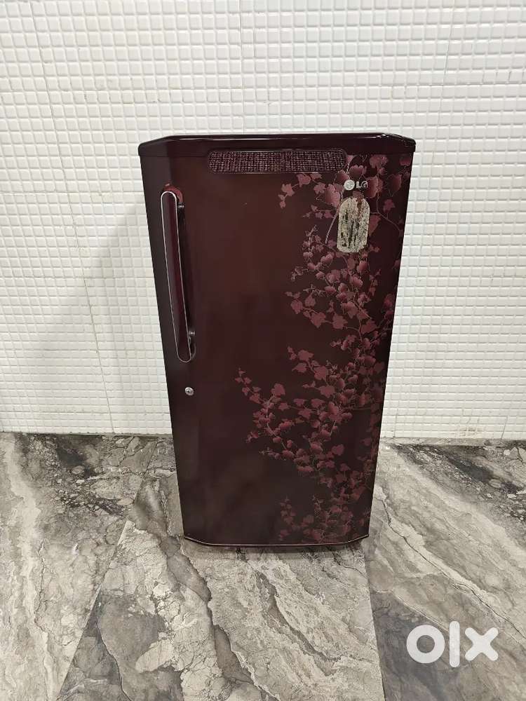 One 6262 Lg single door refrigerator