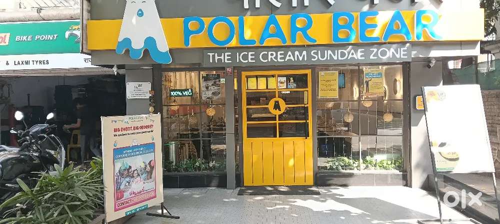 Polar bear the ice cream parlor