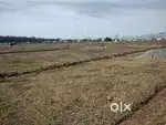 Plot at ranipokhri jhilwala. 700 mtr from high way