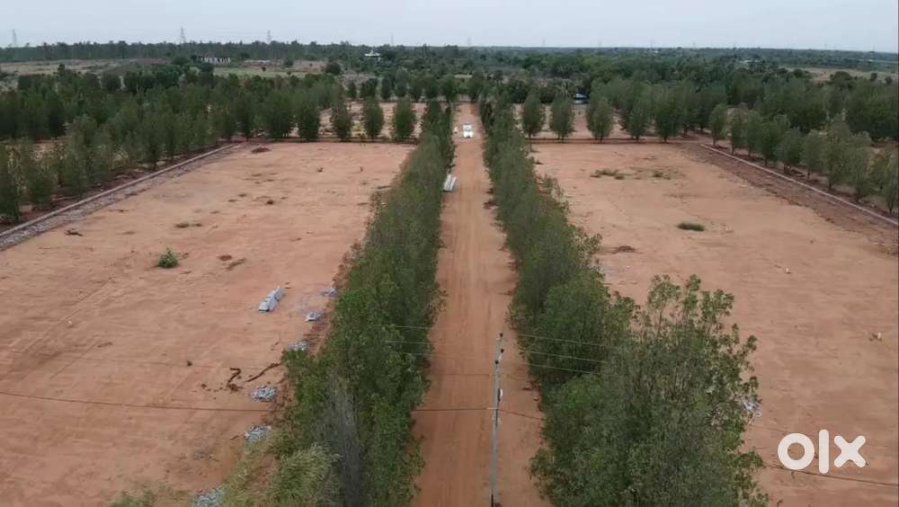 Best site for investment