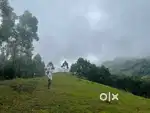 Luxury plot for sale in munnar