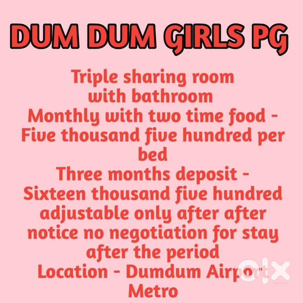 Dum dum girls pg
