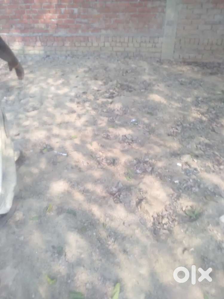 Arjent sell karna hai