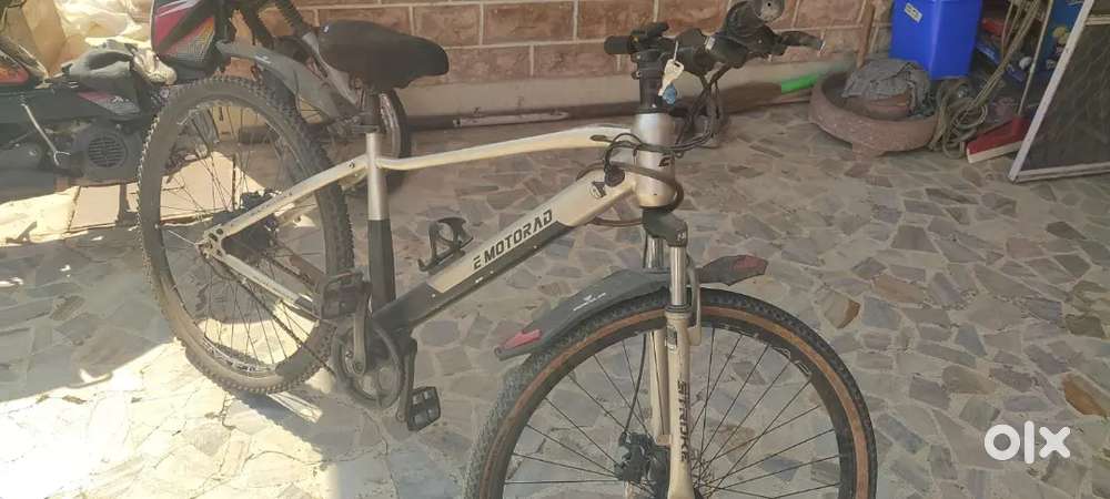 E-motorad electric cycle