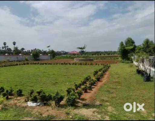 Premium Plot for Sale at Thagarapuvalasa “Y” Jn.  Highway-Facing