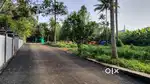 House പ്ലോട്ട് at കൊരട്ടി തിരുമുടിക്കുന്നു