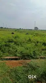 Residential plot