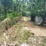 15.600 സെന്റ് സ്ഥലം താന്നിപ്പാടം നോർത്ത് പറവൂർ