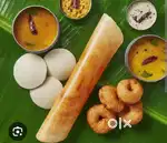 Need experienced tiffin Master