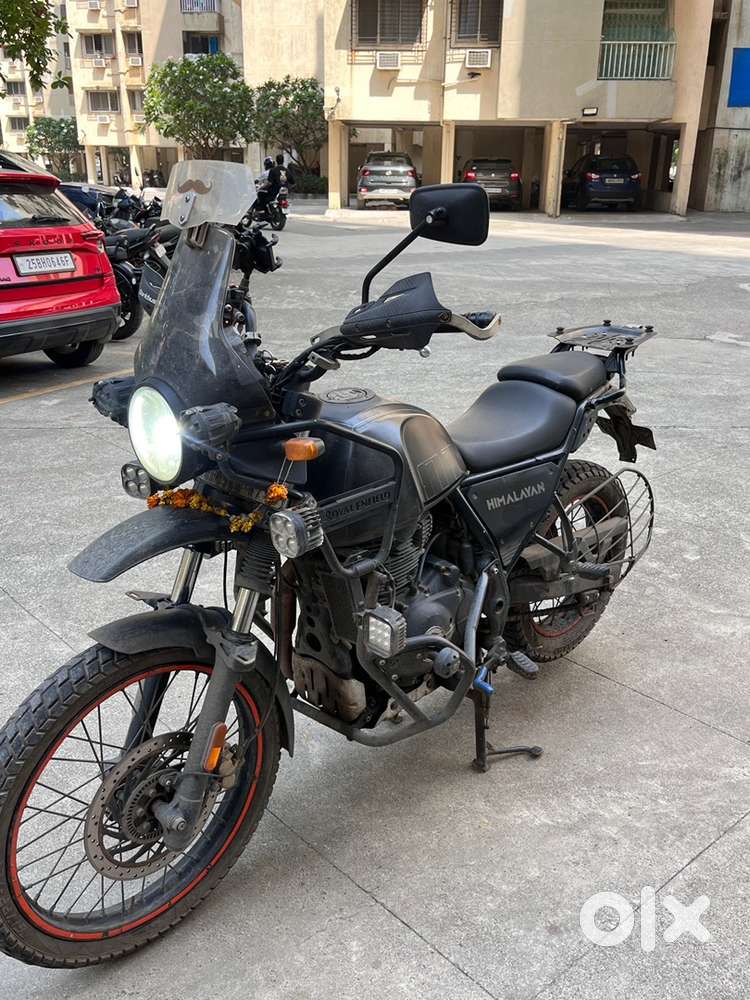 Himalyan black dec 2021