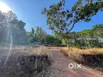 35 Cent east facing Residential Plot for sale