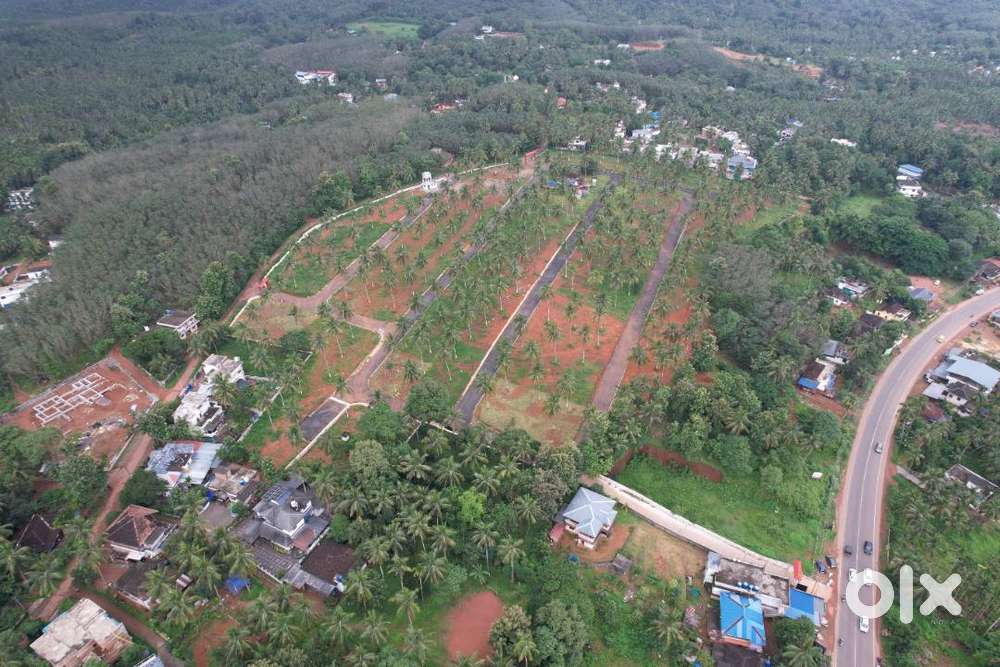 8 Cent House plot for sale in Viyyakurissi,Palakkad