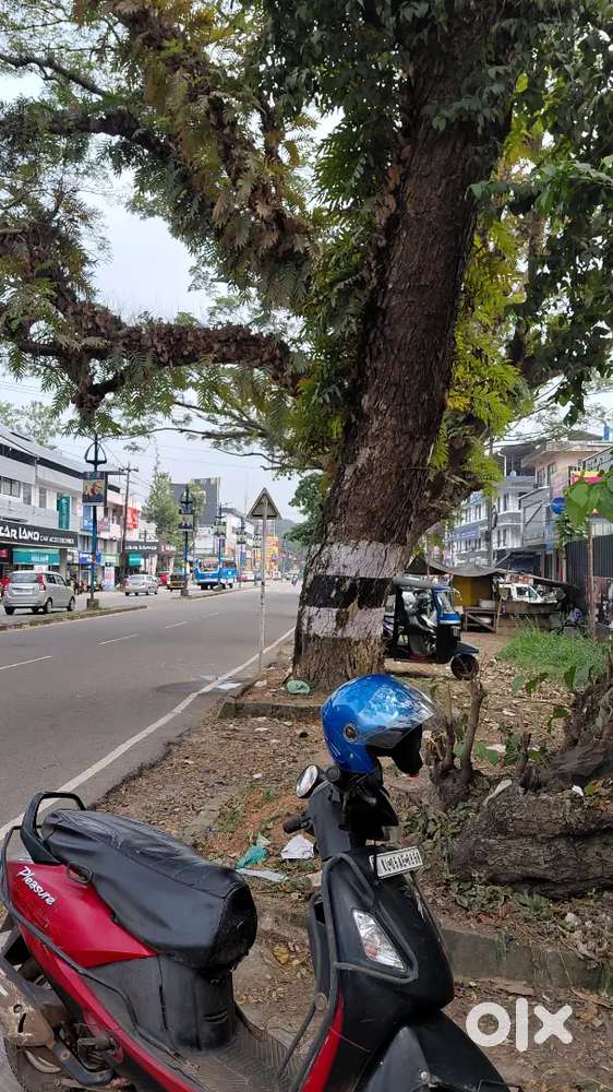 KOTTAYAM. Town. 45 cent. Road front 150 feet