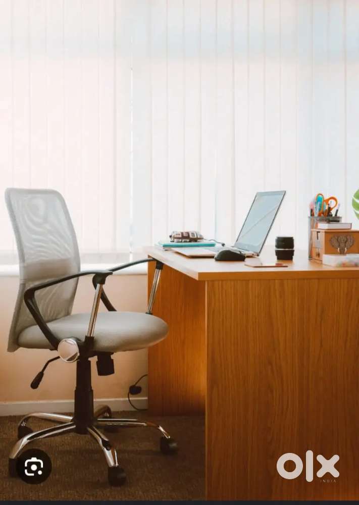 Wanted senior Accountant