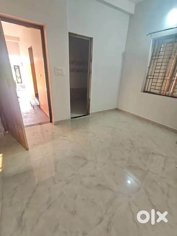 Need 1 girl roommate