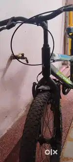 5 year old