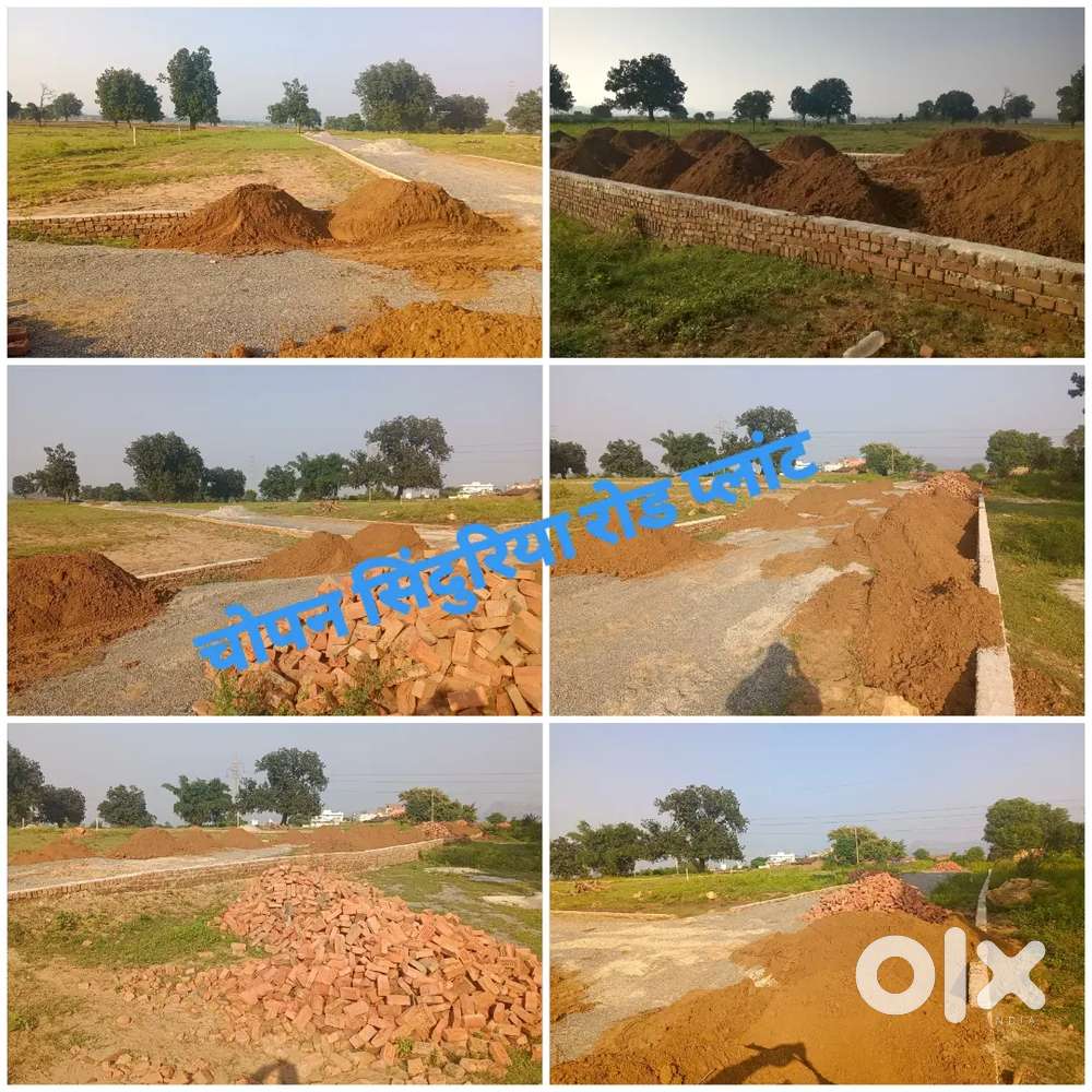 चोपन में आवासीय प्लाट सिंदुरिया रोड पर प्लॉट ले बहुत ही खूबसूरत