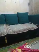 finei chr bachoga