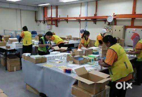 women for picking &packaging job