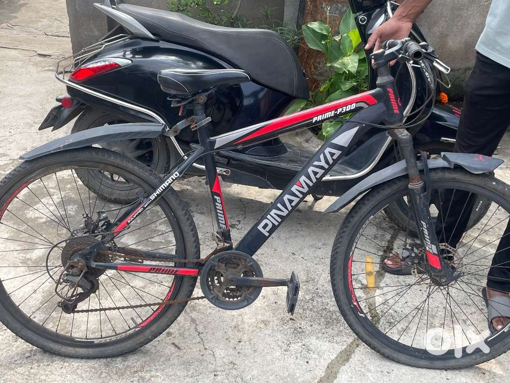 Pinamaya prime p300