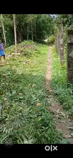 Residential Plot for Sale in Puthenvelikara, North Paravur, Ernakulam