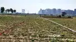 FNG Six Line Highway par plot pakki Registry Best Investment ke plot