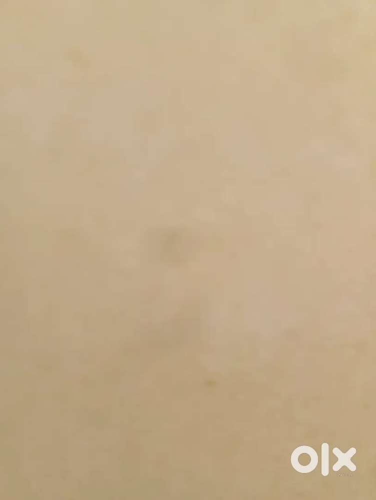 Golden joy wash Laundry job,machine operation accomodation avilable