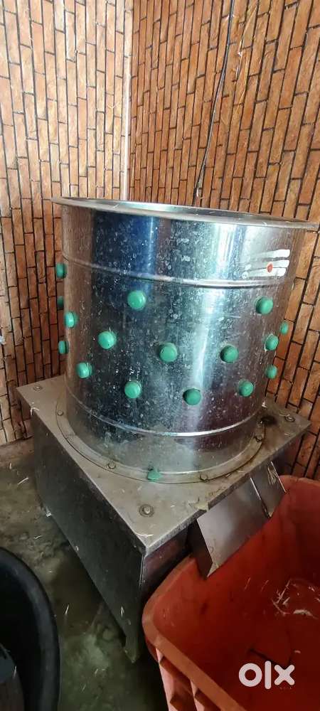 Chicken meat shop for sale