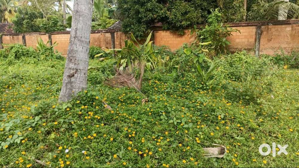 Premium residential plot