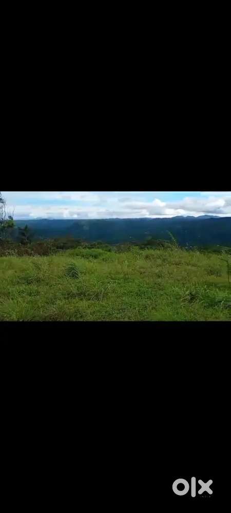 റിസോർട്ടിനു പറ്റിയ സ്ഥലം വില്പനക്ക്