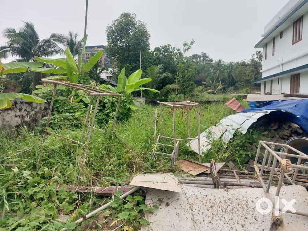 Changapuzha park 5 cent